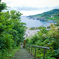 写真：粟島から見た海