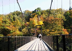 写真：鷹の巣吊り橋