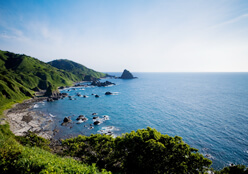 写真：西海岸の景観