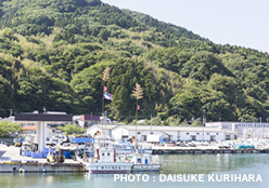 写真：内浦漁港（第４種粟島漁港）