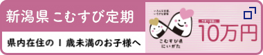 新潟県こむすび定期