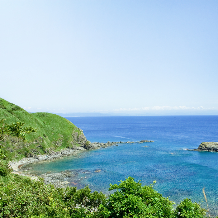 写真：粟島から見た海